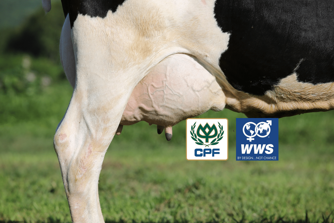 Semen for Cow