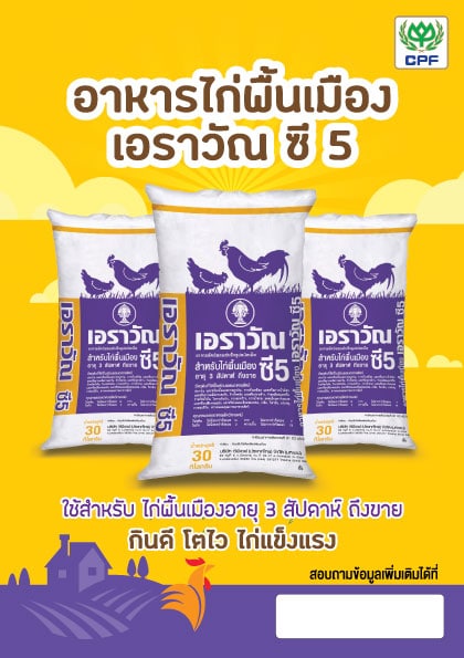 อาหารไก่พื้นเมือง
